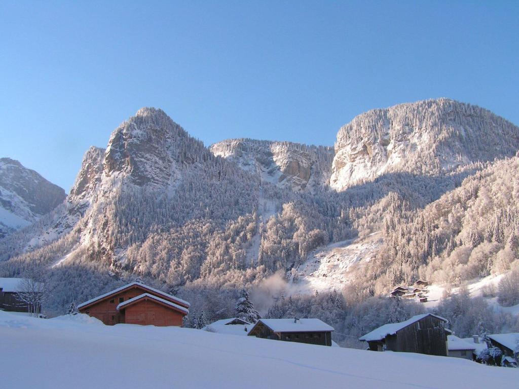 Chalet Narcisse Sixt-Fer-a-Cheval Номер фото
